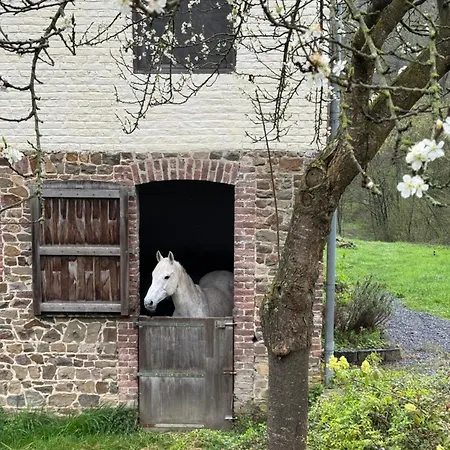 La Sitelle Appart hôtel Andenne
